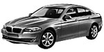 BMW F10 U244U Fault Code